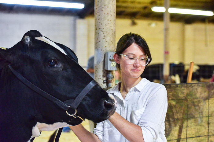 Orangeburg County Fair Dairy Show
